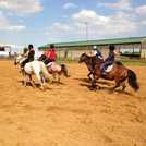 Buyagift horse riding gift experience voucher - British product