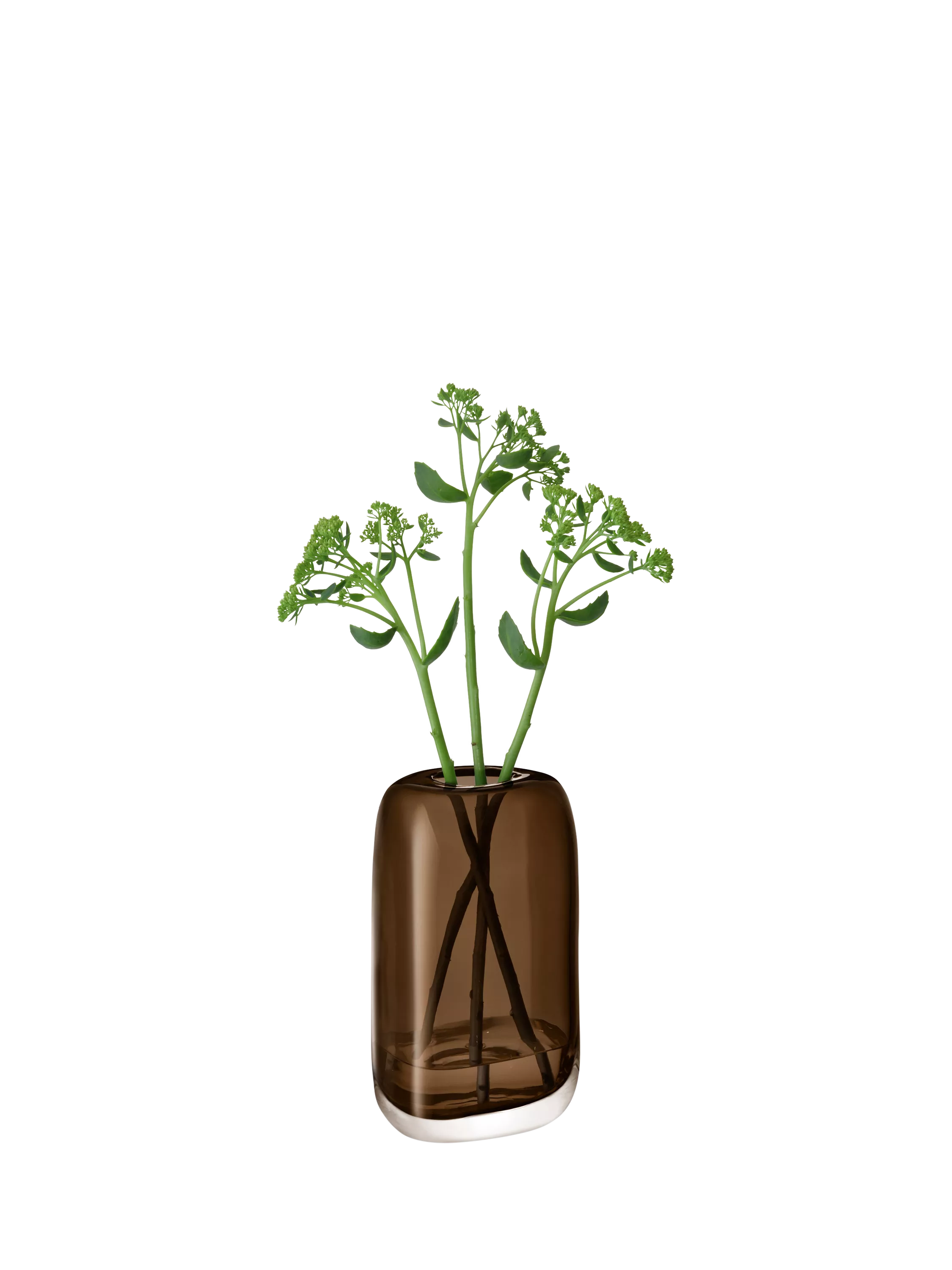 LSA International oblong brown glass vase 24cm height, UK version