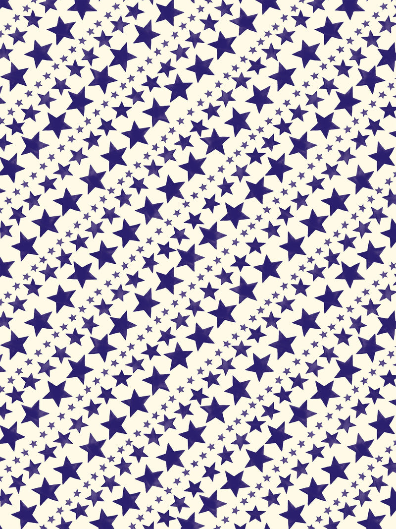 Emma Bridgewater star wrapping paper L3m - British product