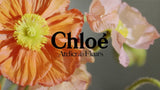 Chloé perfumed soap bar Cedrus 100g - British product