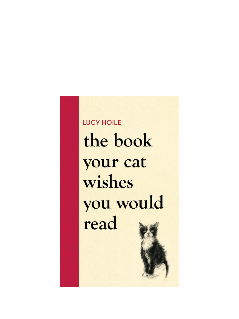 Hachette Book Group cat behavior and relationship guide book, UK version