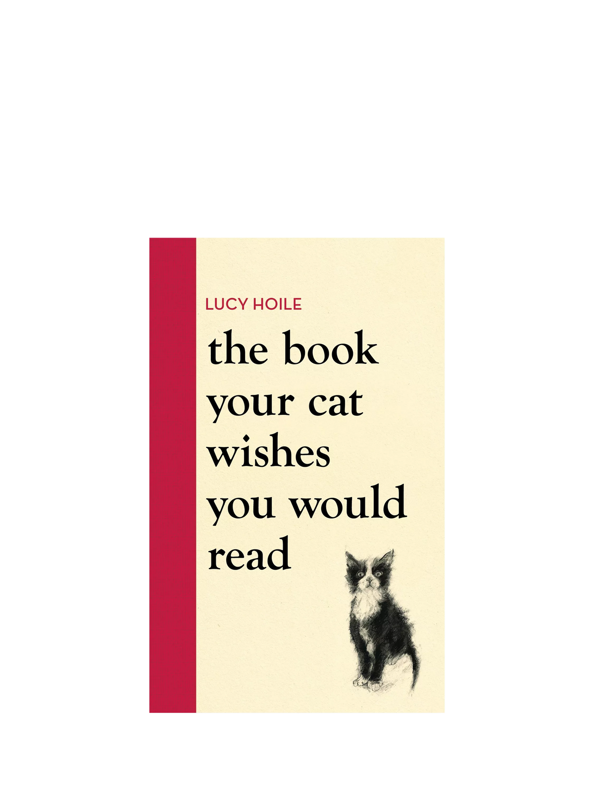 Hachette Book Group cat behavior and relationship guide book, UK version