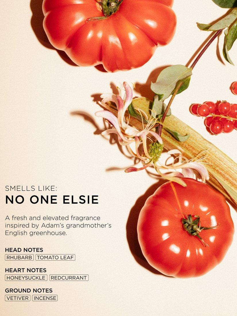 ARKIVE heat-activated hair primer - British product