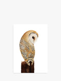 Barn Owl Design Blank Greeting Card with Brown Envelope, FSC Certified