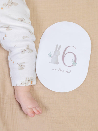 Little Dutch Baby Milestone Kort 21-delt sett