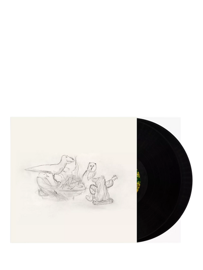 Big Thief Dragon New Warm Mountain Vinyl Record Double LP