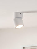 John Lewis Wilson single spotlight, UK version