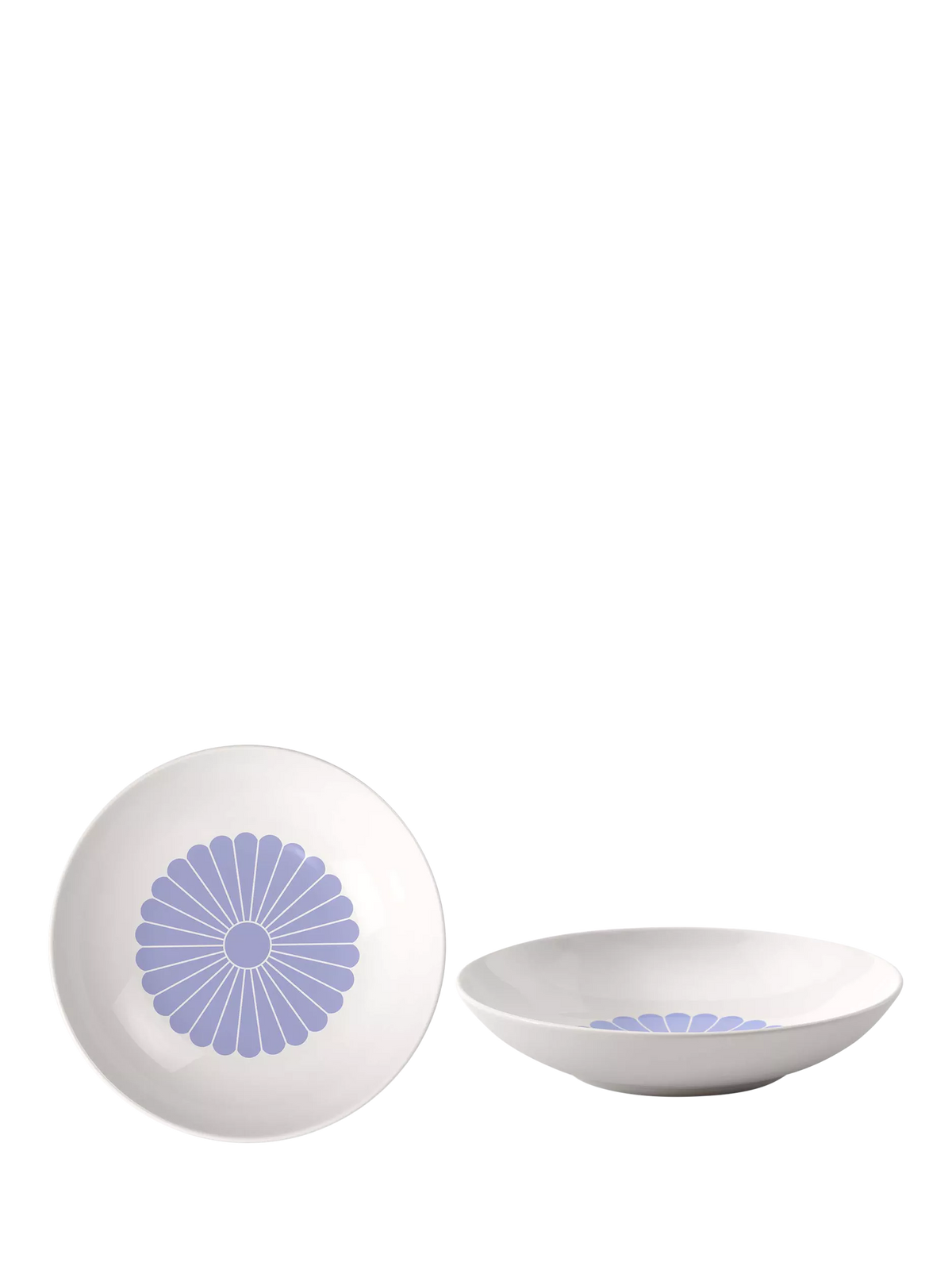 Villeroy & Boch porcelain pasta bowl set of 2, 24cm blue floral pattern (British brand)