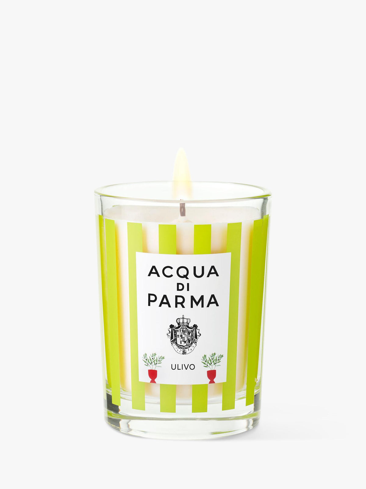 Limited Edition Olive Wood Scented Candle 200g in Green and White Jar