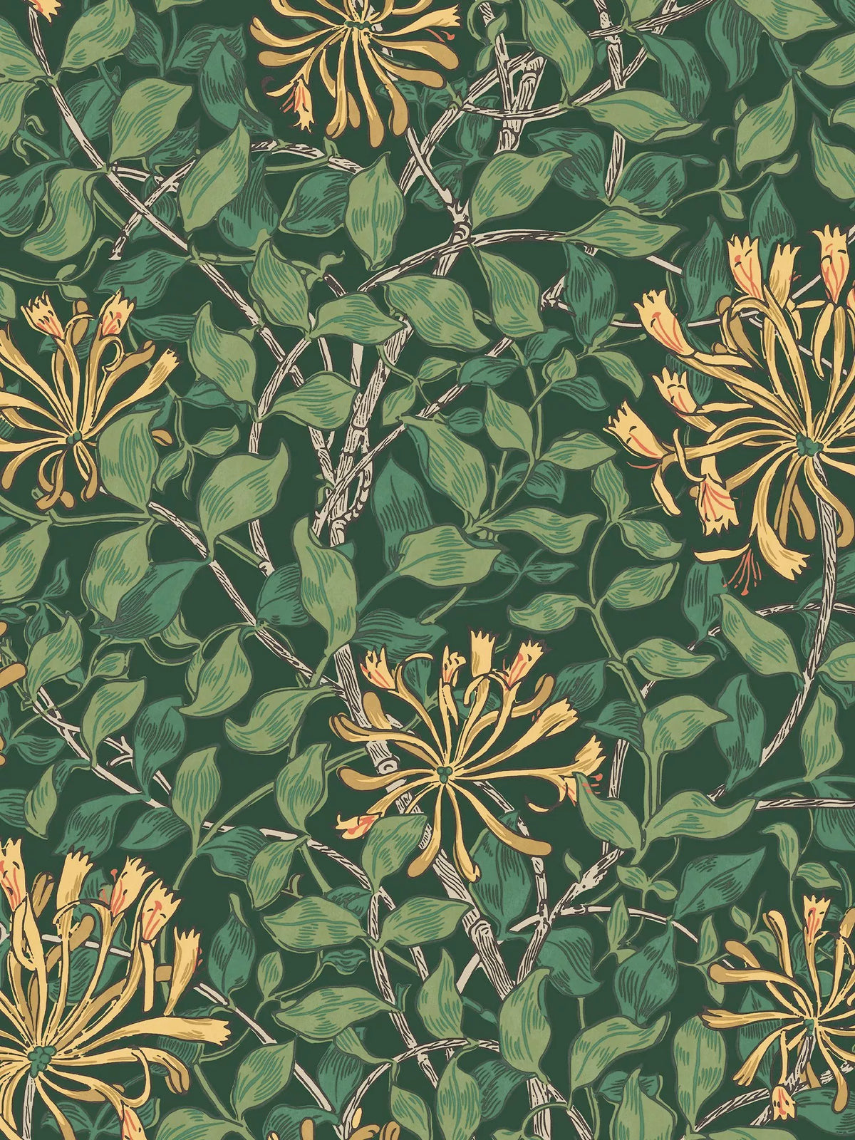 William Morris At Home Honeysuckle wallpaper (British brand)