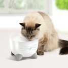 Catit PIXI White Cat Water Fountain - British product
