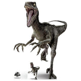 Star Cutouts Jurassic World Raptor Blue cardboard cutout 135x93x15cm (British brand)
