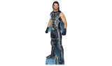Star Cutouts WWE Seth Rollins life-size cardboard cutout (British brand)