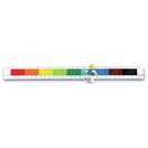 LEGO 2.0 Ruler with Minifigure 30cm, UK version