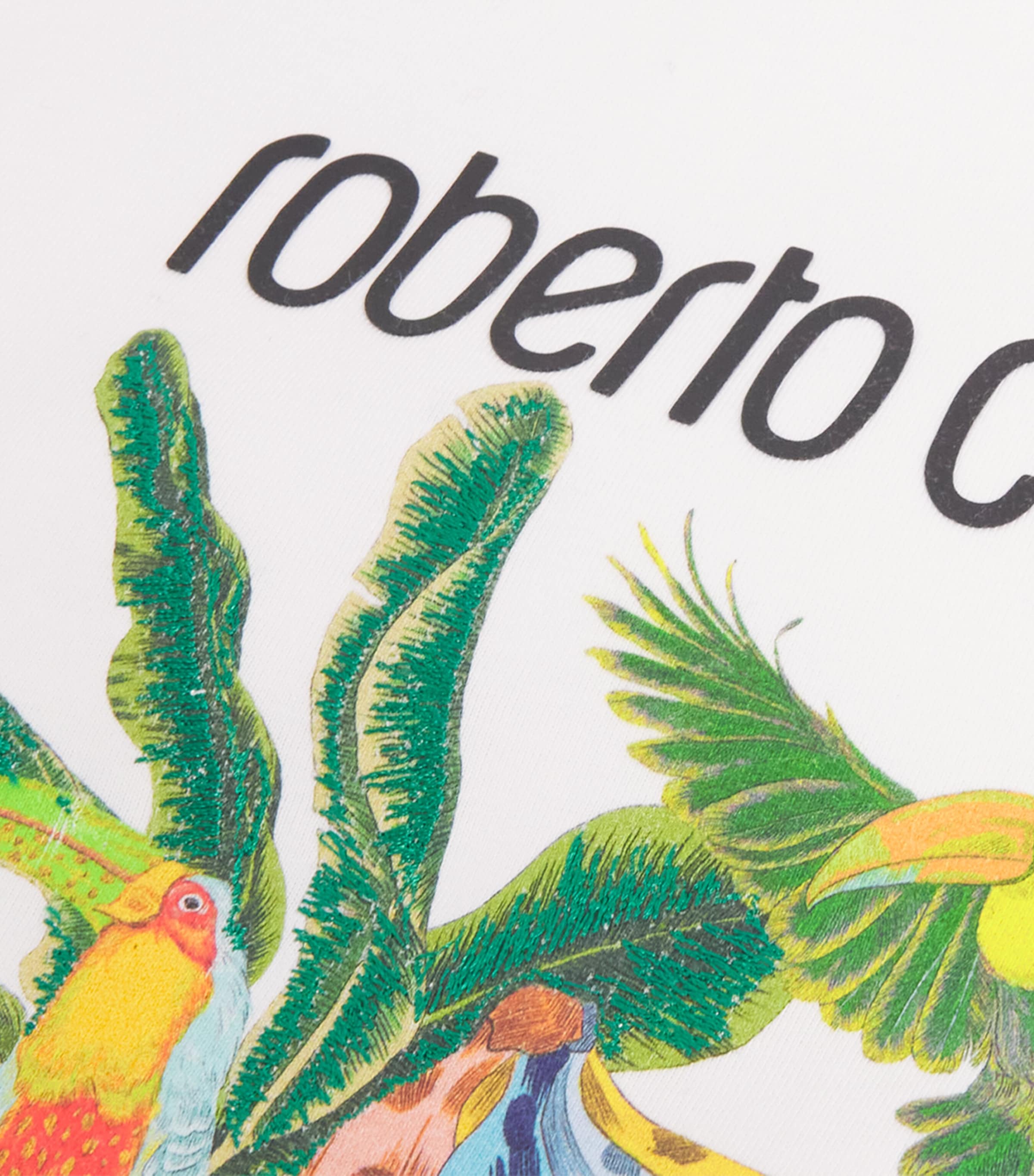 Roberto Cavalli cotton tropical logo T-shirt 4-14 years, imported from the UK
