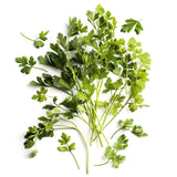 Daylesford Organic Flat Leaf Parsley