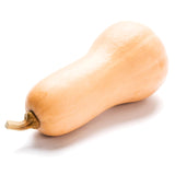 Daylesford Organic Butternut Squash