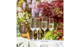 Plastic prosecco glasses pack of 4, imported from the UK