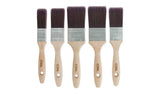 Coral Aspire paint brush set, 5 pieces - British product