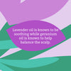 Faith in Nature Lavender Geranium Conditioner - 500ml Aluminium