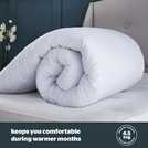 Silentnight 4.5 Tog Double Duvet (British brand)