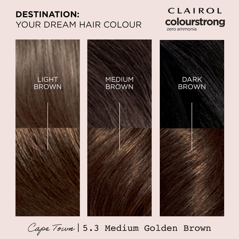 Permanent Hair Dye in Medium Golden Brown Shade 5.3 with Bonding Primer and Treatment