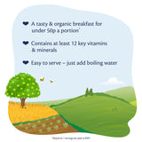 HiPP Summer Berry Multigrain Porridge 10+ Months 200g, UK version