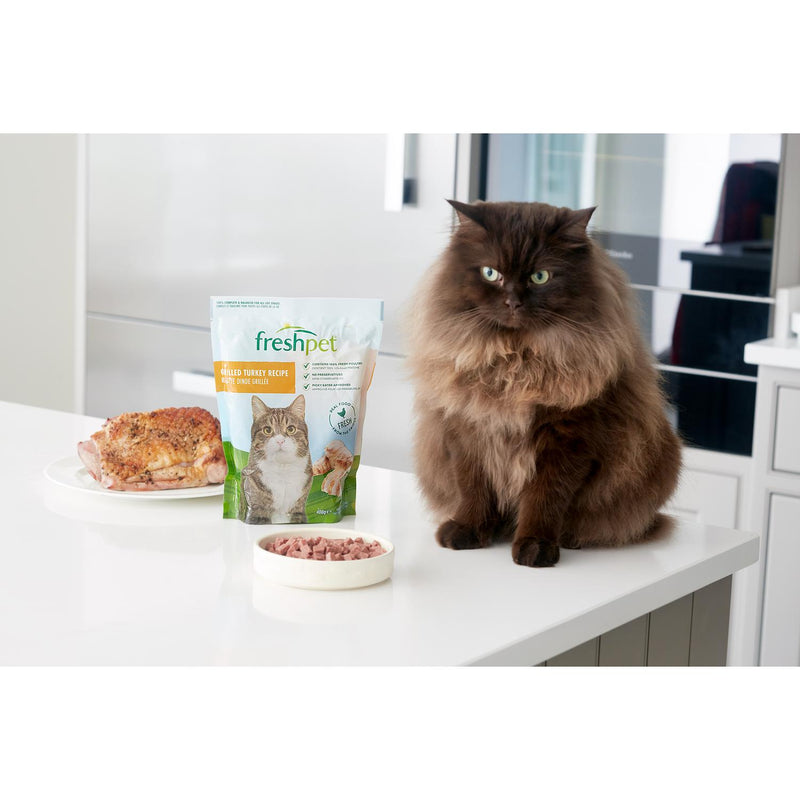 Freshpet Grilled Turkey Recipe cat food 400g - British product