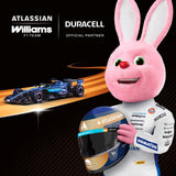 Duracell Powerboost Plus AAA Batteries Pack of 8 - British product