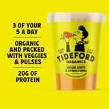 Tideford Organics Indian Lentil & Spinach Dhal Soup 560g (British brand)