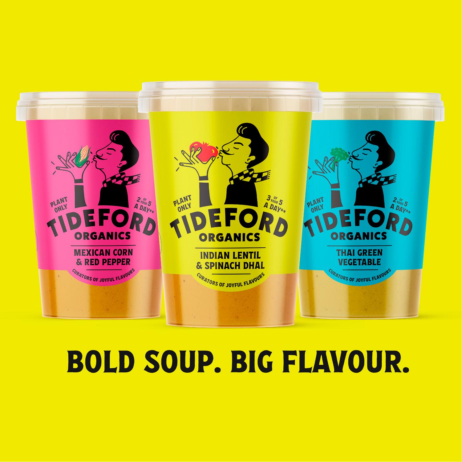 Tideford Organics Indian Lentil & Spinach Dhal Soup 560g (British brand)