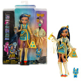 Monster High fashion doll assortment with pet figure 0.4kg, imported from the UK
