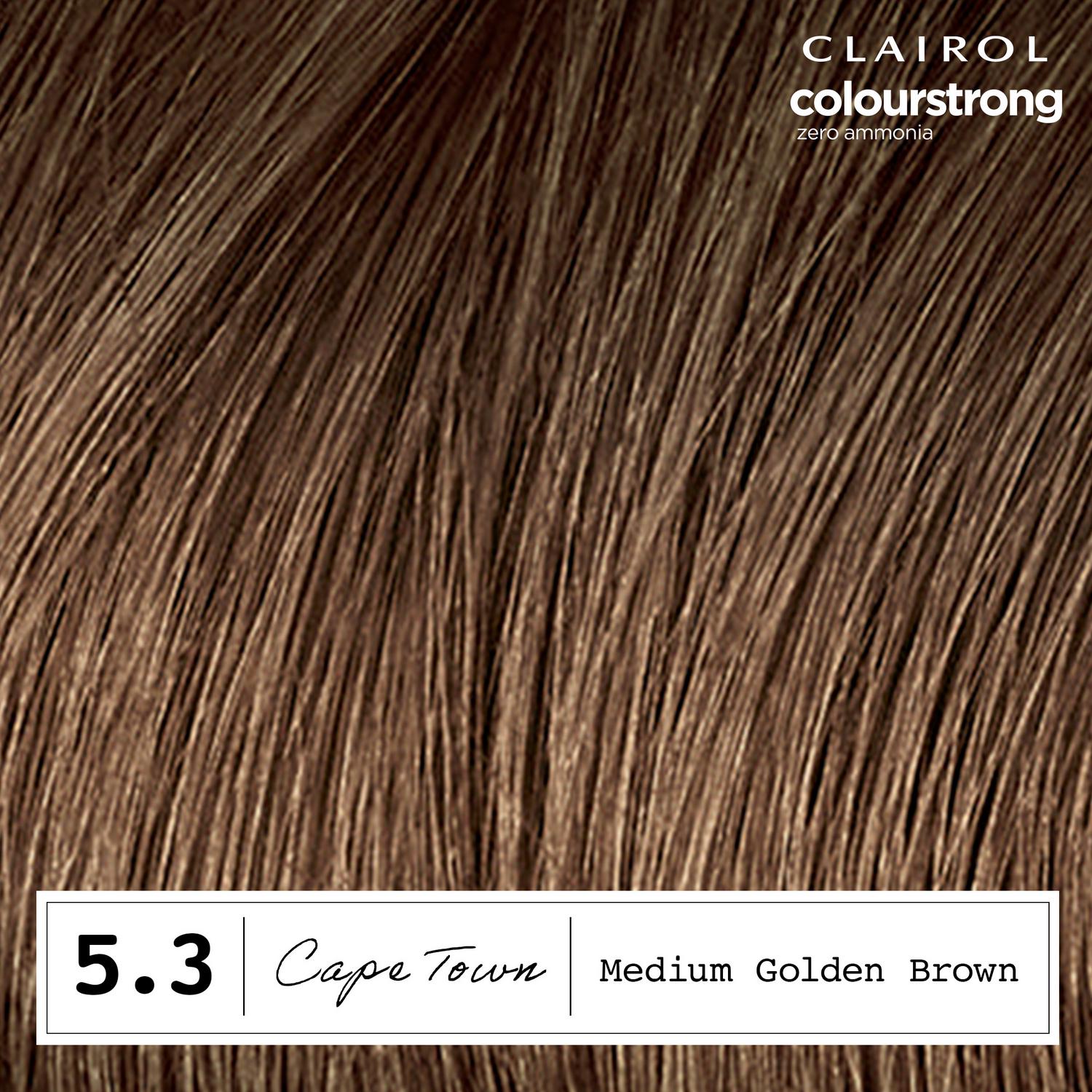 Permanent Hair Dye in Medium Golden Brown Shade 5.3 with Bonding Primer and Treatment