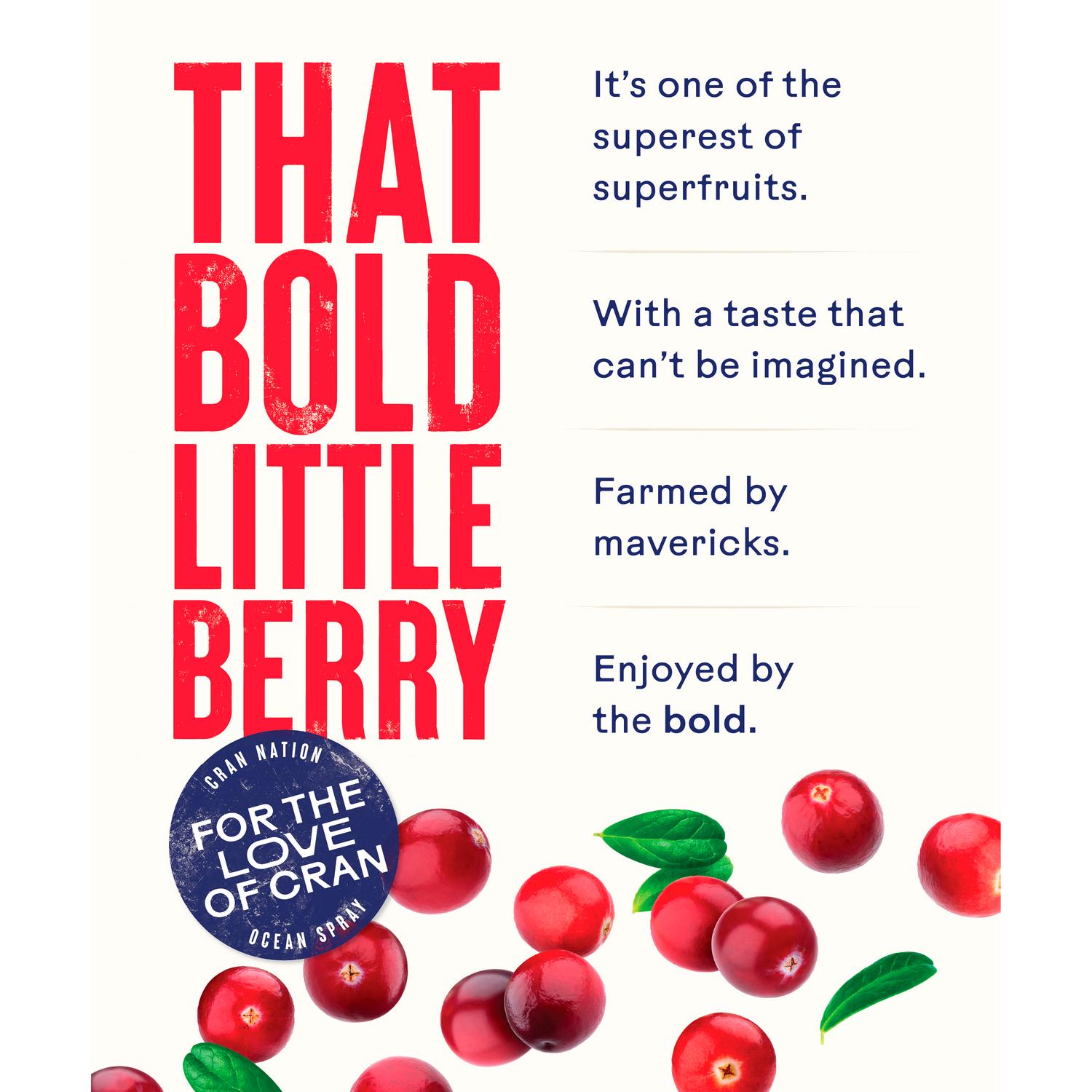 Ocean Spray Cranberry Classic Juice 4x1L, imported from the UK