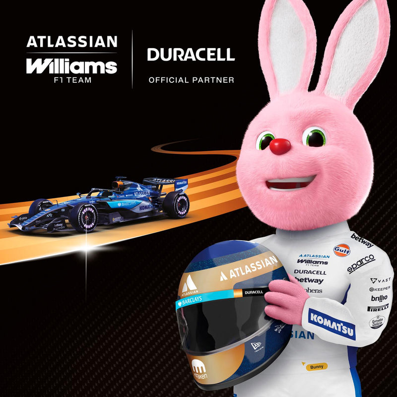 Duracell AA Batteries Powerboost Plus Pack of 12 - British product