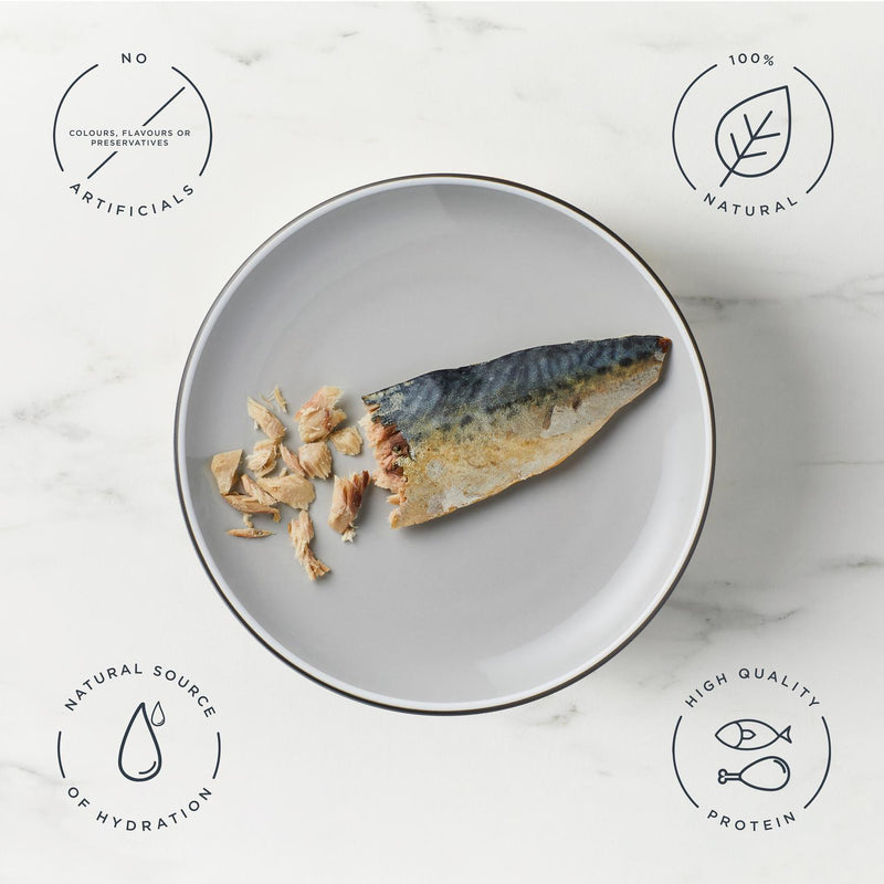 Encore Treat Mackerel Fillet Cat Treats 30g - British product