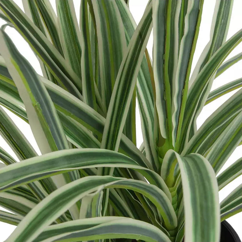 Sainsbury's Home Faux Spider Plant Green 38.1cm (British brand)