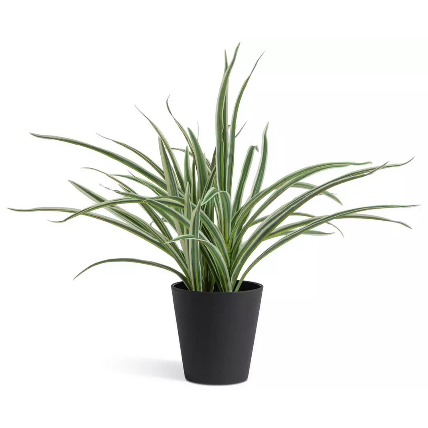 Sainsbury's Home Faux Spider Plant Green 38.1cm (British brand)