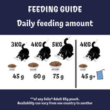Felix Doubly Delicious Beef Chicken & Vegetables Dry Cat Food 750g