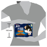 Felix wet cat food meaty selection jelly 12 pack - British product