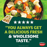 Birds Eye Steamfresh Mixed Vegetables 540g - British product