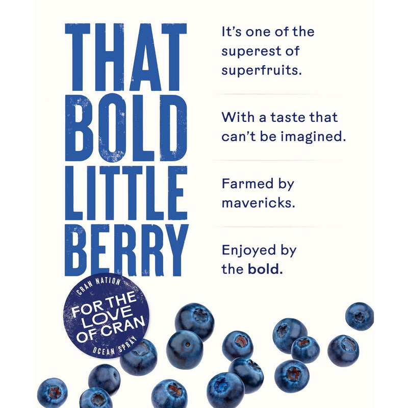 Ocean Spray Blueberry Drink 1L
