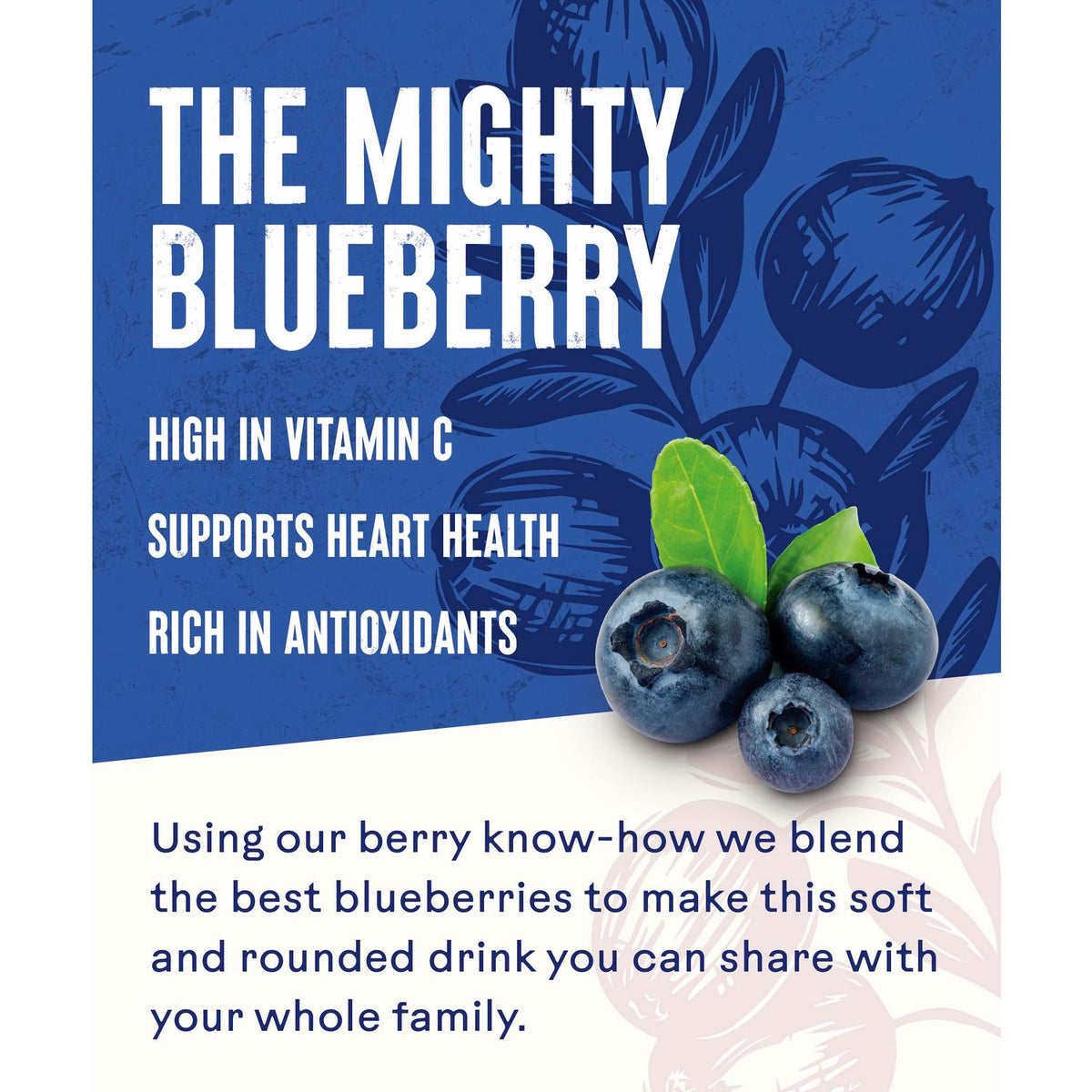 Ocean Spray Blueberry Drink 1L