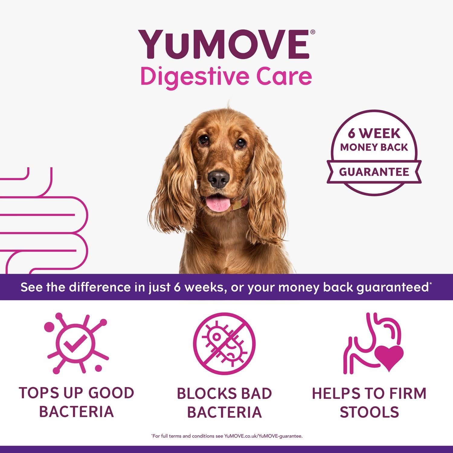 YuMove Digestive Care dog supplement tablets x60 (British brand)