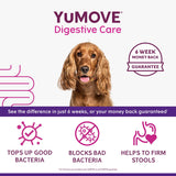 YuMove Digestive Care dog supplement tablets x60 (British brand)