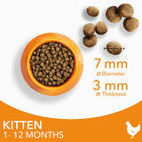 IAMS kitten dry cat food fresh chicken 800g, UK version