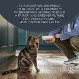 Encore Tuna with Prawn In Broth Natural Cat Food Pouch 70g