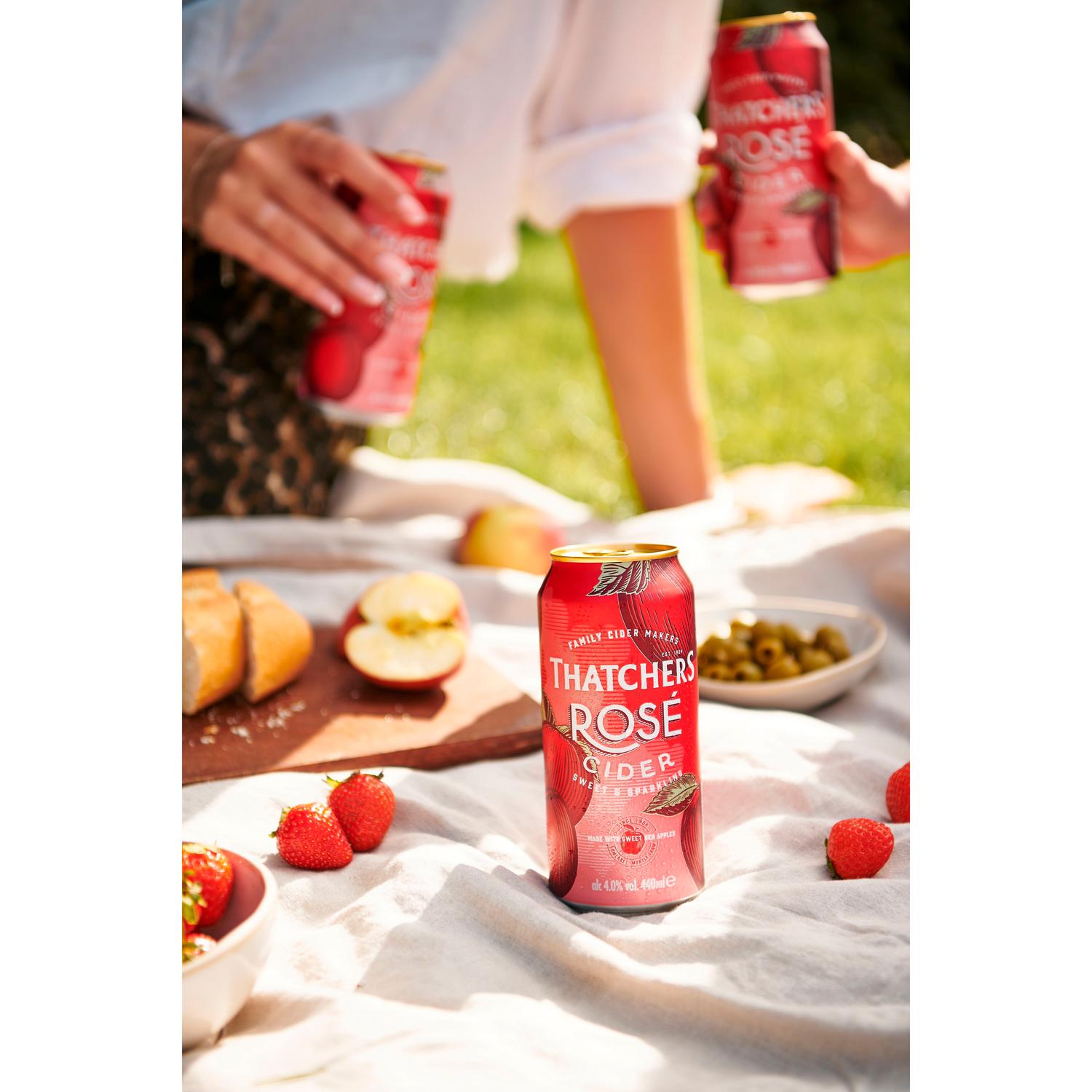 Sweet and Sparkling Rosé Cider with Sweet Red Apples 500ml