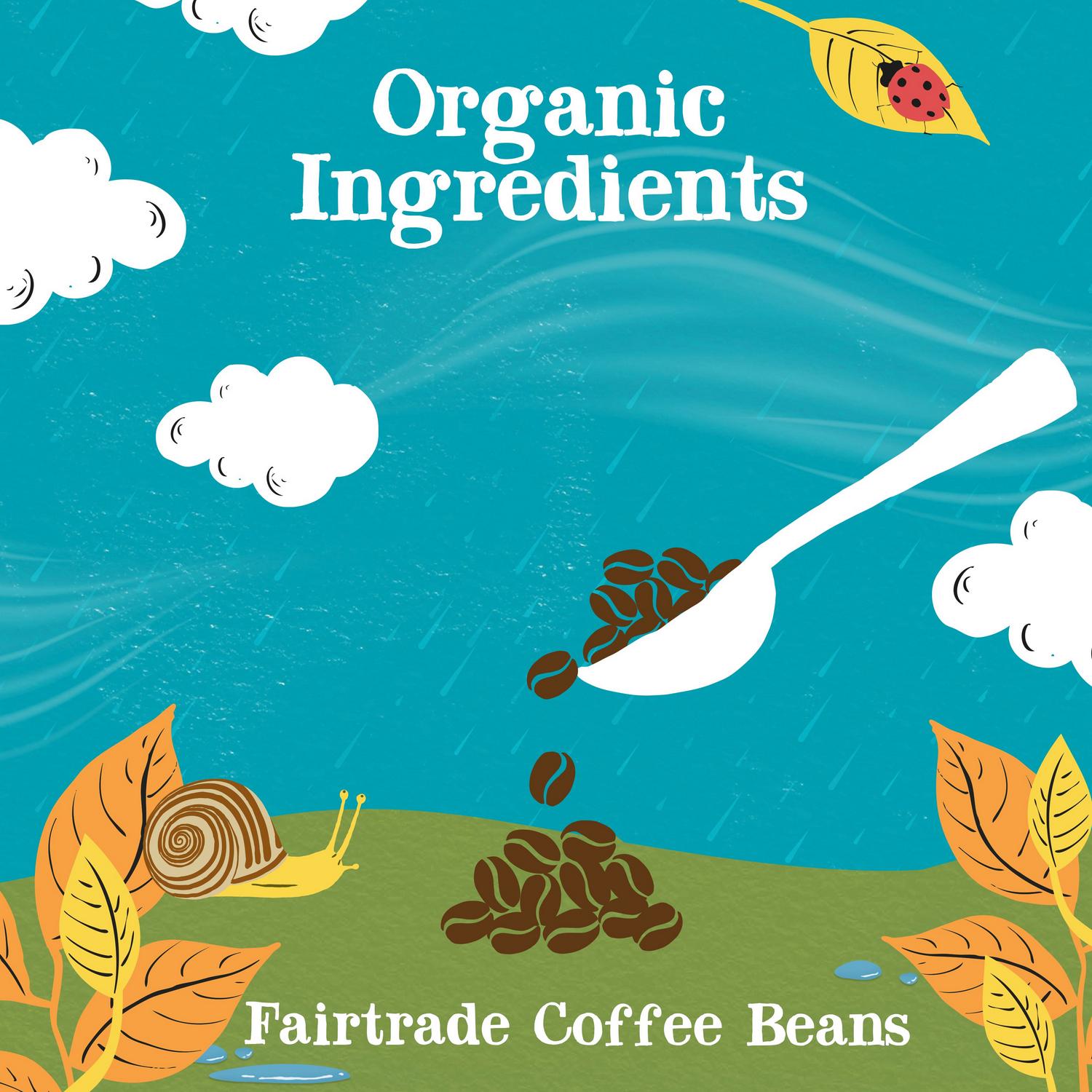 Clipper Organic Latin American Instant Coffee 100g - British product