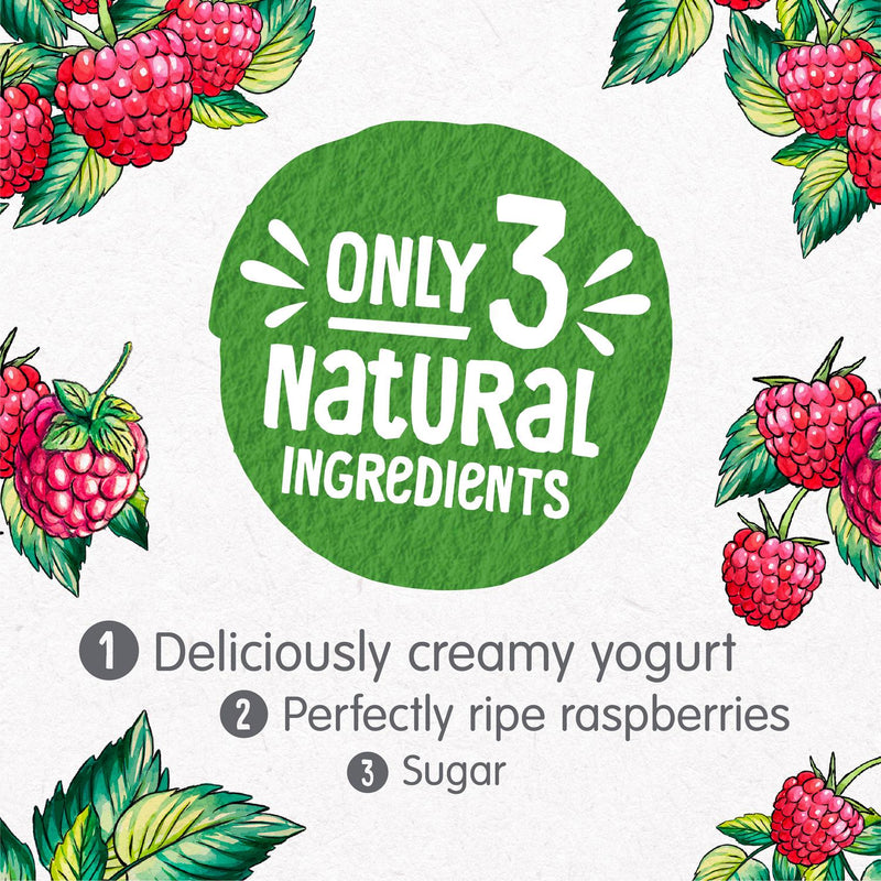 Creamy Raspberry Yogurt with Real Fruit 350g